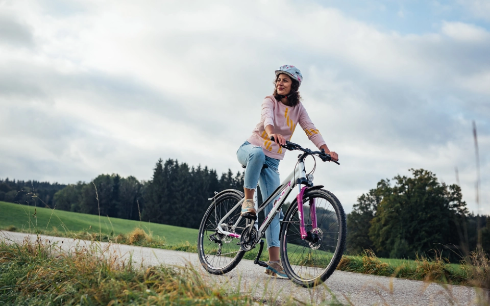 ebike_e-trekking ebike_e-trekking